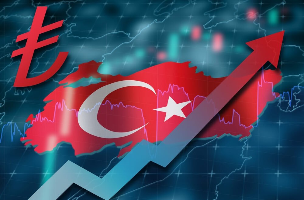 The Stages of Obtaining Turkish Citizenship for investors Step by Step